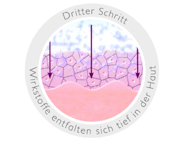 mda schritt3